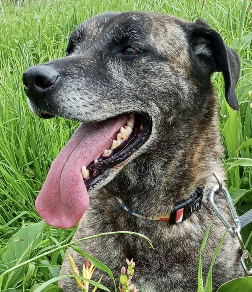 zoe